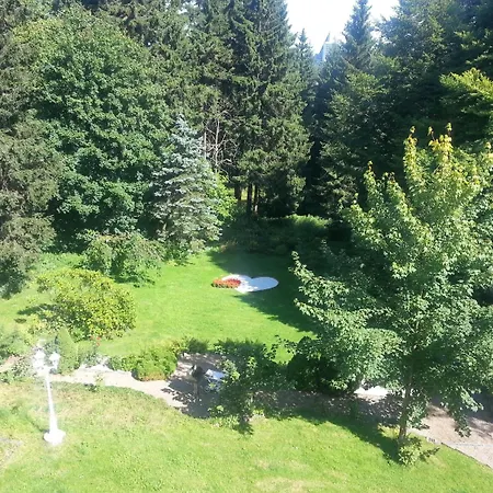 Pension Haus am Waldesrand-2
